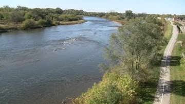 A view from Lorne Bridge, Grand River