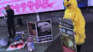 International Animal Rights Day 世界アニマルライツデー 2015