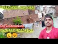 Today (29) Long vlog l Aaj to baarish se l pure roof bhar gaya😇 🤨😞 #today #longvlog 