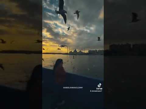 عاشق سارح في الملكوت