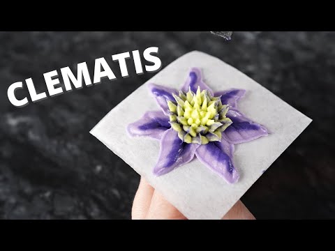 Video: Clematis plant (clematis): mô tả giống, đặc điểm canh tác