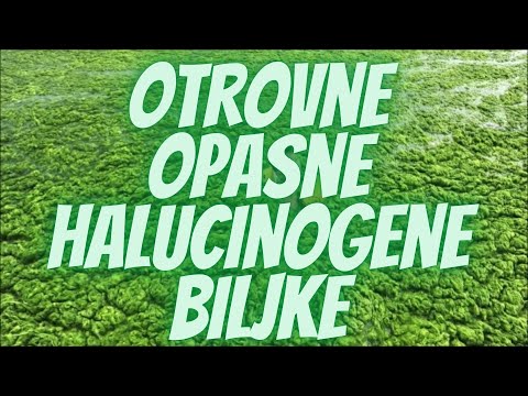 Biljke: Otrovne, Opasne, Halucinogene i Lepe... (Kompilacija)