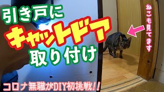 【猫ドア】DIY初心者がキャットドアの取り付けをやってみた【引き戸】