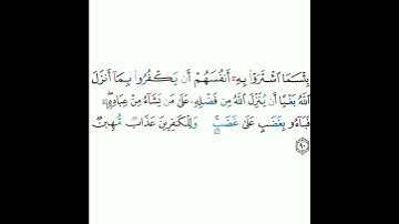 2 - سورة البقرة ٩٠ - مشاري بن راشد العفاسي