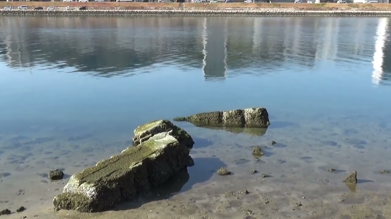 太田川放水路、旭橋北東側からの景色　（広島市 2026.1.14)