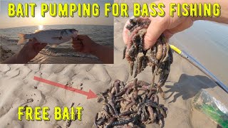 How to Pump Blow Lugworm | Bass Fishing & Rude Dog Walker! Sea Fishing UK