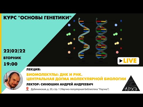 Video: Цианобактериялардын өзгөчөлүгү эмнеде?