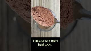 Two ingredients! Herbal revitalizing hair mask #hairgrowth #bhringraj #hibiscus
