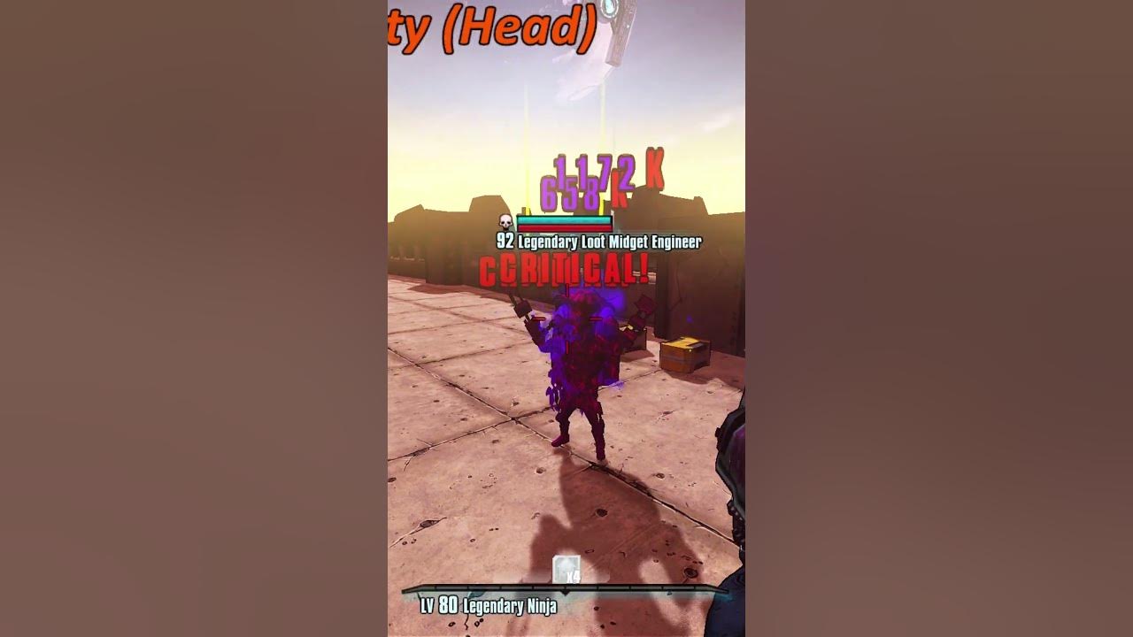 Borderlands 2 - Have You Ever Seen This?