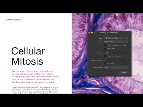 Running Headers (Affinity Publisher)