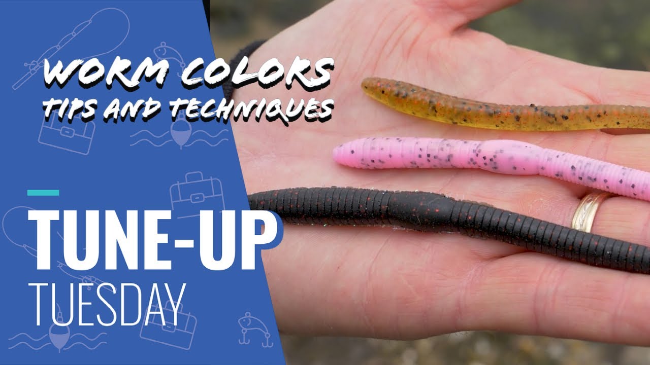 Tune-Up Tuesday  Choosing Worm Color for Different Water