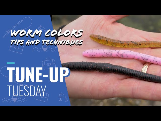 Tune-Up Tuesday  Choosing Worm Color for Different Water Conditions 