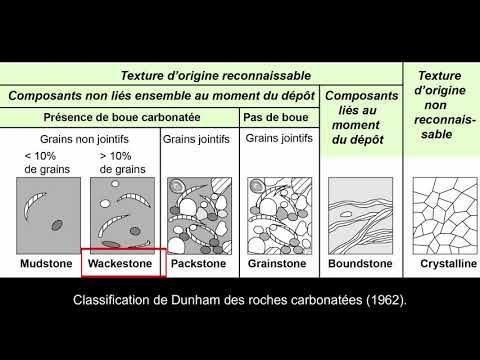Vidéo: Différence Entre Géologie Et Pétrologie