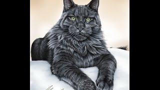 Обложка Как нарисовать кота Мейн Кун How To Draw Maine Coon Скачать Как нарисовать кота Мейн Кун How To Draw Maine Coon