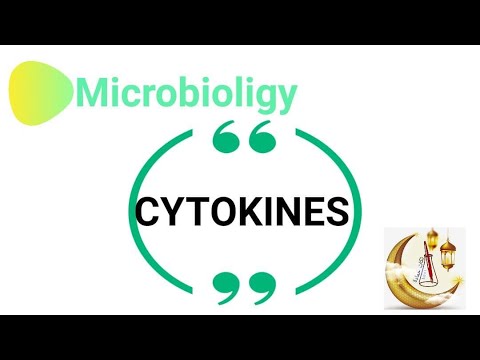 أبسط شرح للسيتوكينات - Immunology (Cytokines)