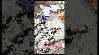 Day -2 Sarkari naukri vlog 🎀💗.               #sarkarinaukri #ossccgl2024 #viral