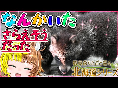 【北海道旅配信】今日は道民の日！釧路で銃所持許可講習受けてきた【蝦夷森ちたぷ】