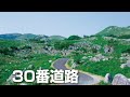 【ポケモンHGSS】30番道路 bgm 1時間耐久