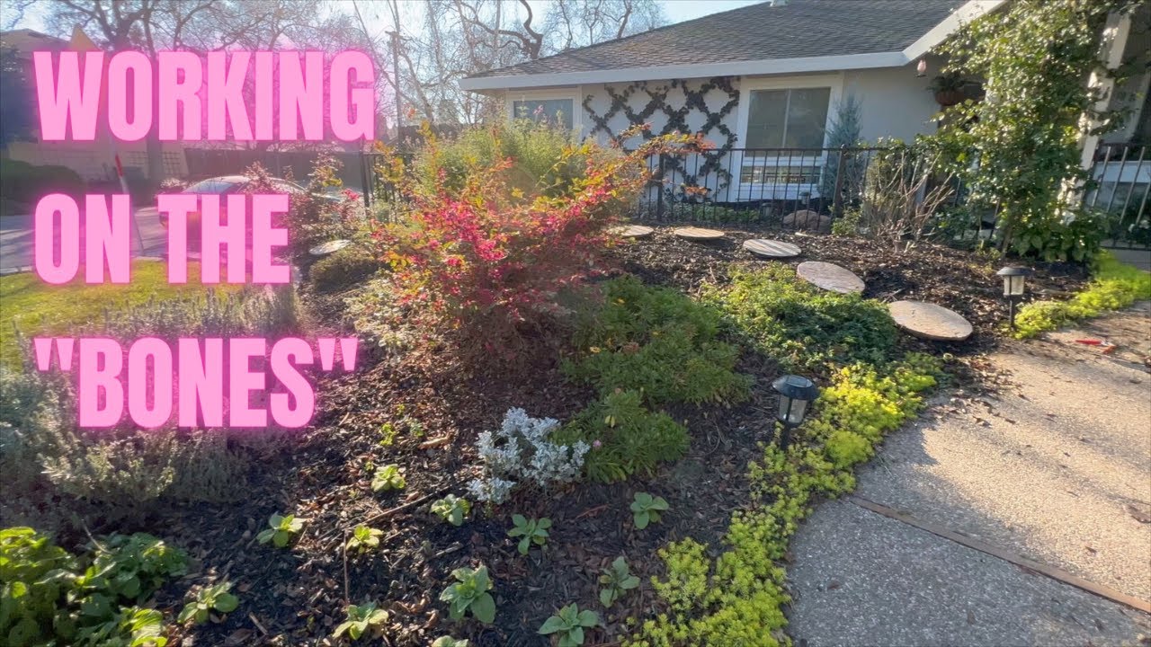 Placing Stepping Stones and My Dahlia Plans! 🌸🌼🌸 Gardening in Zone