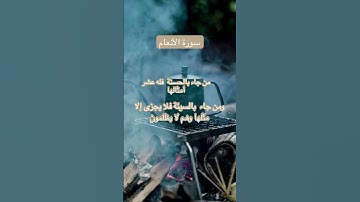#الشيخ ||عبد العزيز السحيم😔سورة الأنعام #اكسبلور 🌺