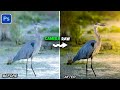 The Ultimate Masking Trick to Recreate Lighting Realistically in Camera Raw
