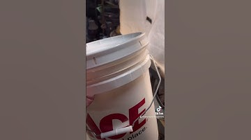 How to make a 5 gallon fermenter for $10