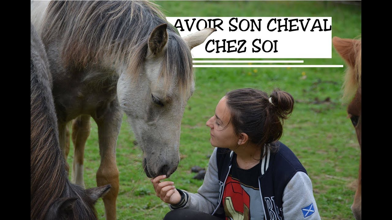 [ROUTINE] - Avoir ses chevaux chez soi ça veut dire quoi ? - YouTube