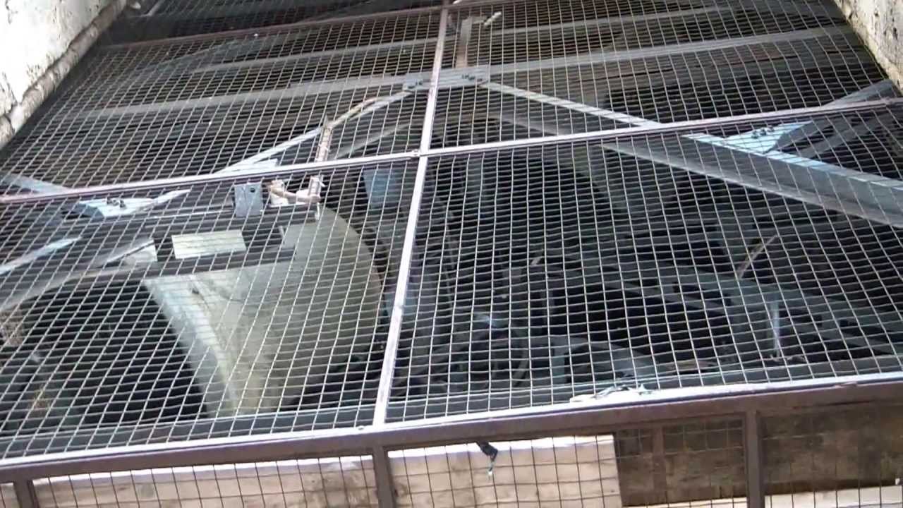 Pentecoste Plenum campane S.Maria del Fiore, Firenze - Pentecost whole peal Giotto's Tower