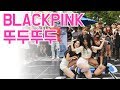 대박 신곡 뚜두뚜두 완벽 커버 창원TNS 여자댄스팀 춤추는곰돌 AF STARZ 대박 신곡 뚜두뚜두 완벽 커버 창원TNS 여자댄스팀 춤추는곰돌 AF STARZ