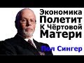 Крах США Скоро - Пол Сингер