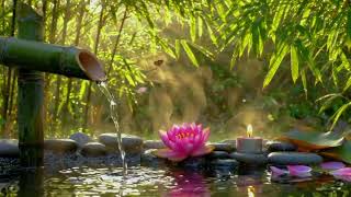 Soothing Relaxing Music &amp; Water Sounds 🍃 Deep Sleep, Stress Relief &amp; Calm Mind Meditation