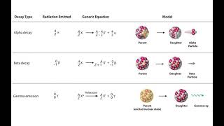 AP Physics 2 - Nuclear/Atomic Physics 4 - Radioactive Reactions Practice