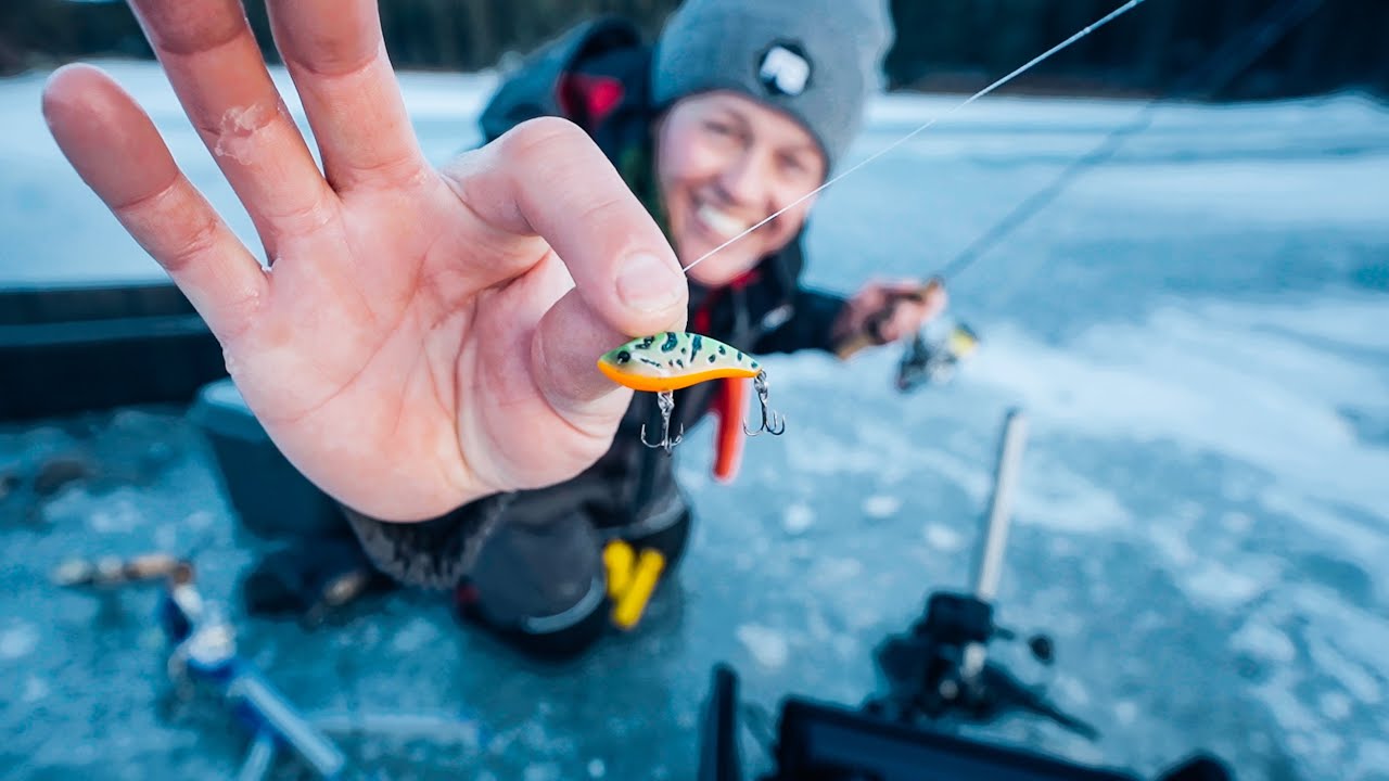 Ice Fishing with a MICRO rattlebait (Multi-Species!) 