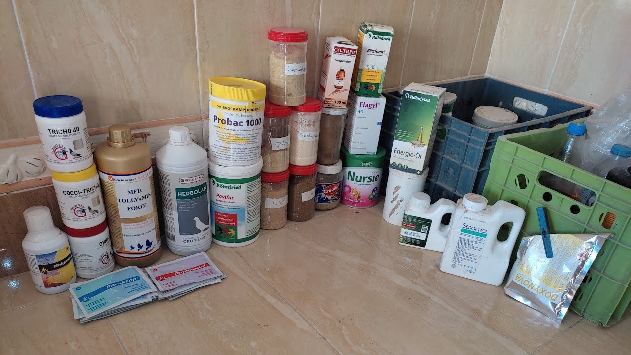 أهم العلاجات الوقائية 💊 للحمام 🕊️ و كيفية ٱستعمالها + بعض الأدوية البيطرية البديلة لأدوية الحمام