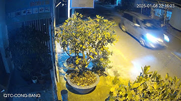 Lộng hành như chốn không người - QTCTECH.vn