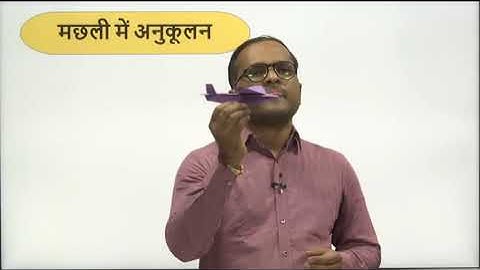 कक्षा - 4 | पर्यावरण अध्ययन | प्रकरण - 7 | पाठ - जंतुओं में अनुकूलन