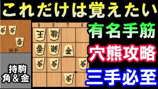 将棋＿穴熊セット(3冊以上バラ売り可/コメ欄相談ください) 好し