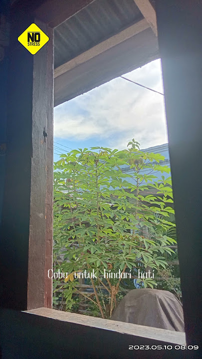 persetan pagi ini. New Eta dalam pekatnya #neweta #shorts