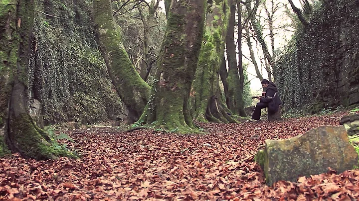 Seamie O'Dowd -  The Glen Sessions