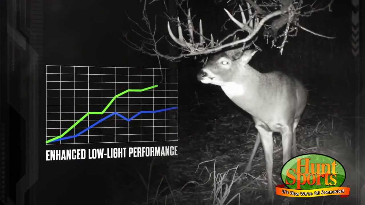 Low Light Night Vision Trail Cams Deer Scouting Cameras Stealth Cam