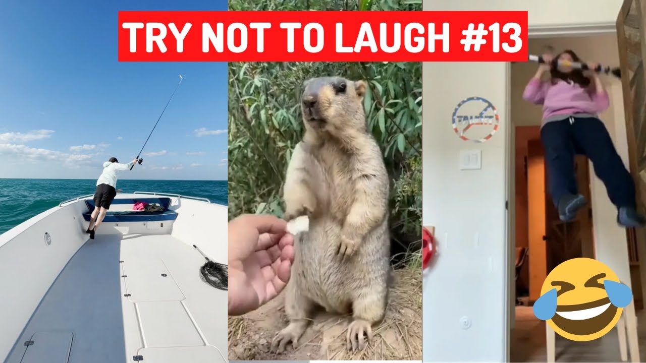 Best Of Funniest Reddit Fails Compilation 2022 Impossible Try Not to Laugh Challenge 13