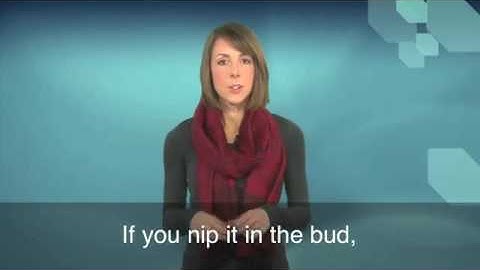 21. Bir dəqiqədə ingilis dili: Nip it in the Bud