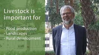 The Critical Issues for the Multi-Stakeholder Partnership to Move Forward - Francois Pythoud