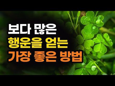 인생을 뒤흔들 만한 행복한 일이 벌어지게 하는 행운의 법칙 4가지 / 책데이트 행운책
