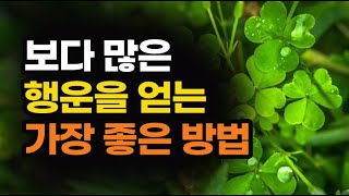 인생을 뒤흔들 만한 행복한 일이 벌어지게 하는 행운의 법칙 4가지 / 책데이트 행운책