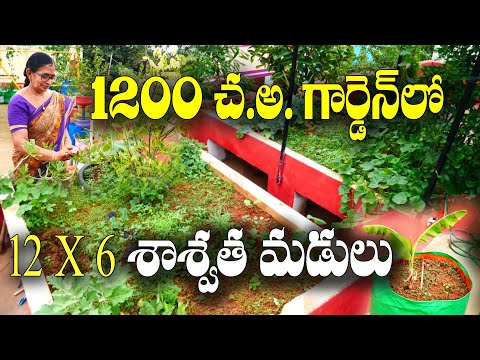 12 X 6 తో శాశ్వత మడులు || Raised beds on terrace garden || B Rajyalakshmi