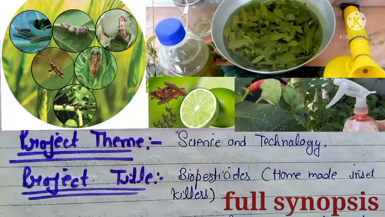 биопестициды ।। полный синопсис ।। новые идеи для научного проекта Inspire Award ।।новая идея модели