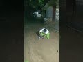 evening talk show #shortvideo #nature