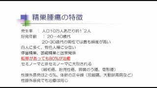 02精巣腫瘍について- 精巣腫瘍について知っておくべき12のこと
