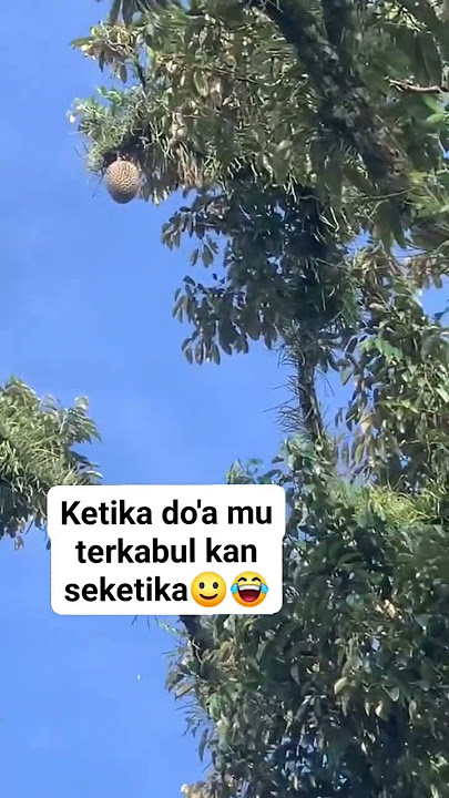 Detik-detik durian jatuh